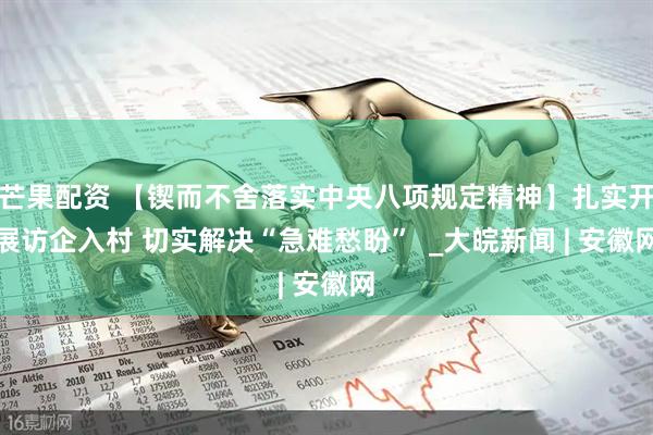 芒果配资 【锲而不舍落实中央八项规定精神】扎实开展访企入村 切实解决“急难愁盼”  _大皖新闻 | 安徽网