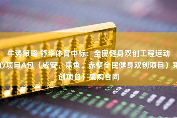 牛势策略 舒华体育中标：全民健身双创工程运动健身中心项目A包（咸安、嘉鱼、赤壁全民健身双创项目）采购合同